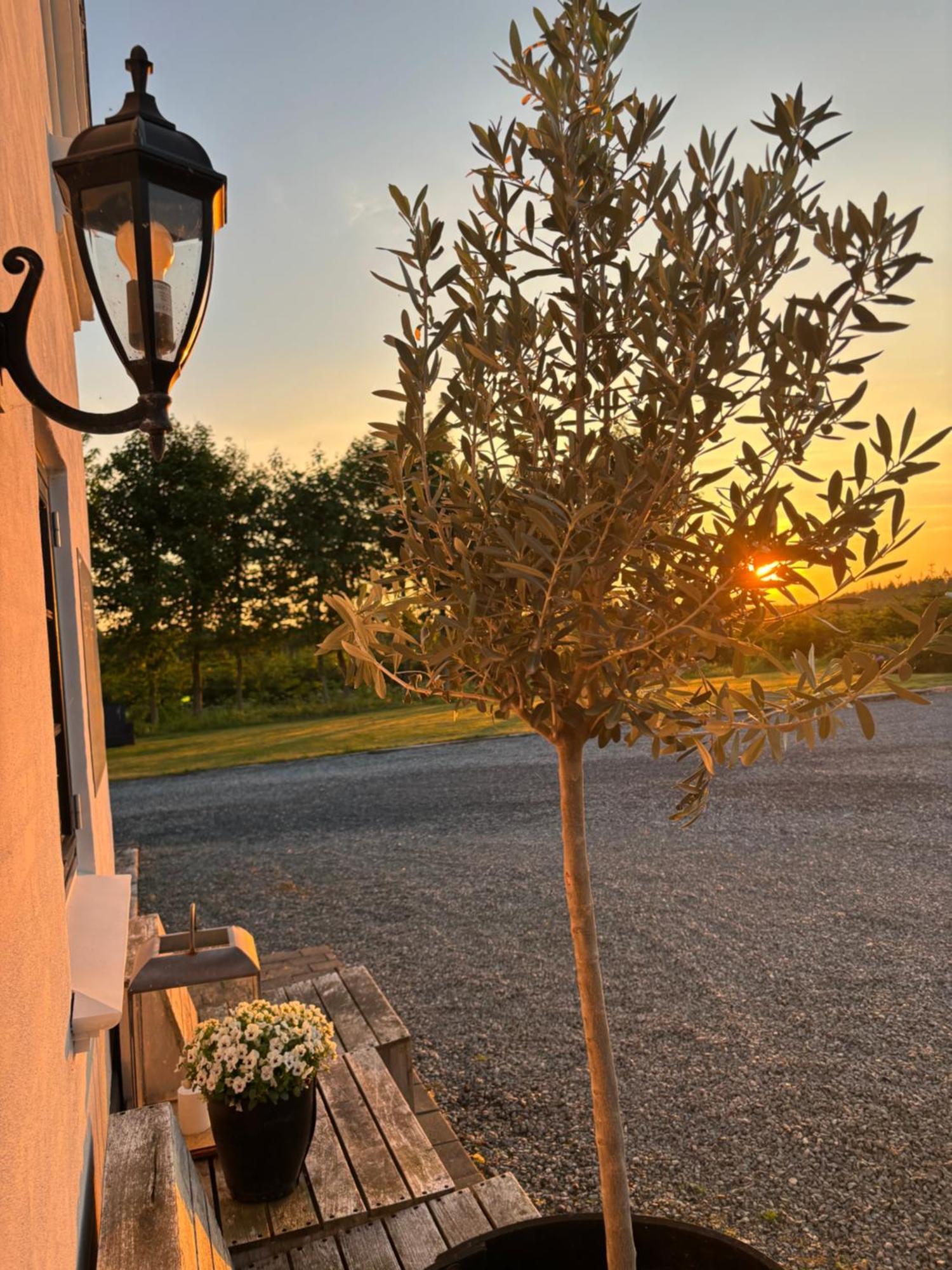 Hedegaarden Bed & Breakfast Engesvang Exterior photo